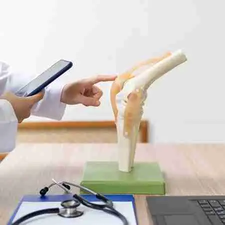 Orthopedic-Treatment a doctor is examining a 'knee model' for Orthopedic Treatment